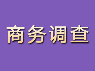 康保商务调查